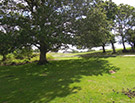 View of the Cricket Club Lyndhurst